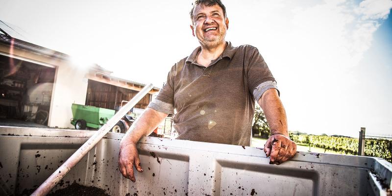 Weingut Honold_Portaitfotografie/ Reportage